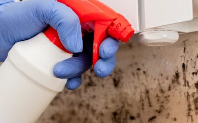 mold prevention and water damage